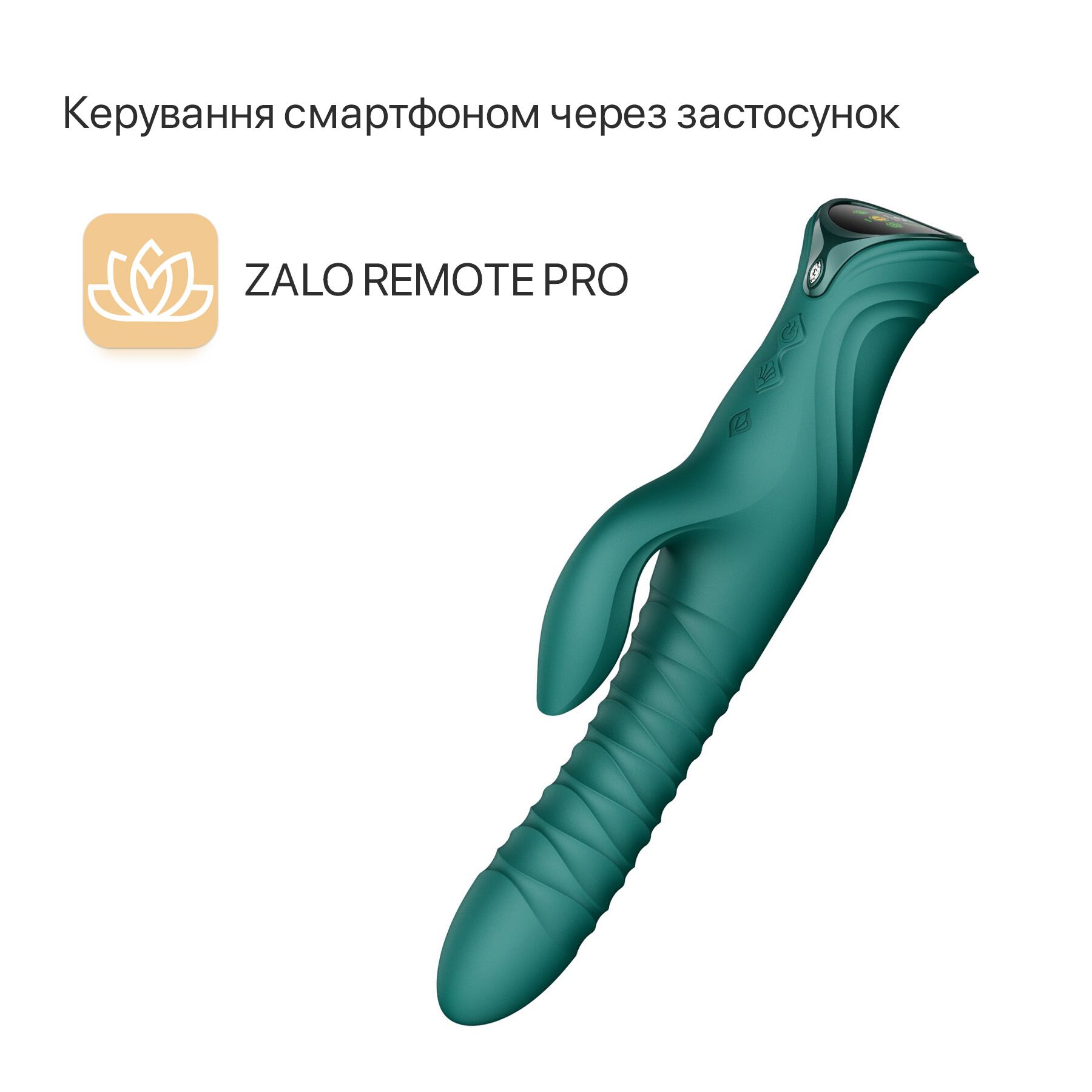 sx2687 31983738125534.jpg